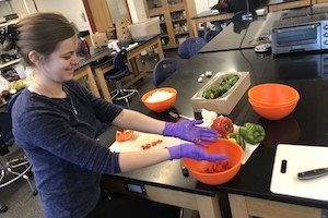 person chopping vegetables